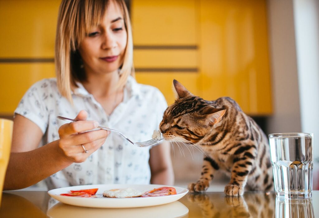 Nutrizione a misura di vita: come cambiano le esigenze del tuo pet nelle diverse fasi